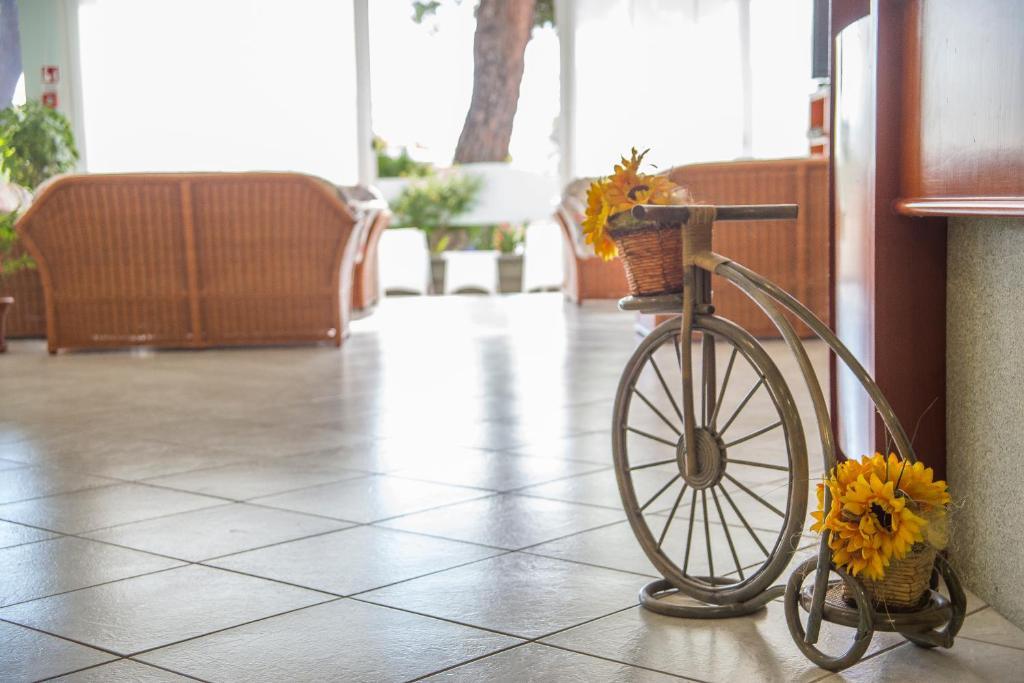 Ciccio Hotel ミザーノ・アドリアーティコ エクステリア 写真