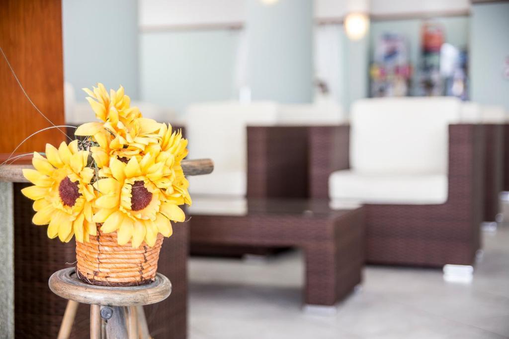 Ciccio Hotel ミザーノ・アドリアーティコ エクステリア 写真